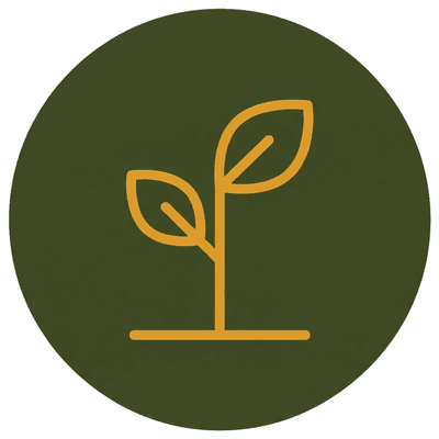 Life coaching icon representing personal growth, confidence, and emotional wellbeing
